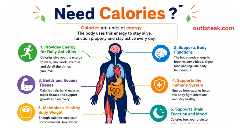 Nutrition and Calories
